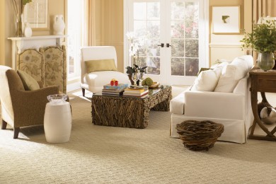 CARPET